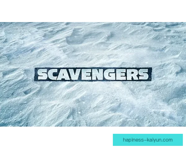 开云体育官方网站全面升级 提供更流畅的用户体验与全新赛事资讯