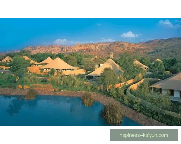 开云官网：探索奢华与创新融合的时尚世界尽在掌握