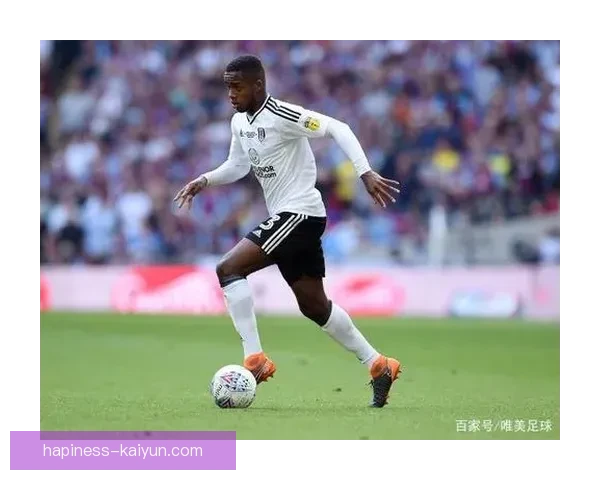 富勒姆俱乐部历史辉煌与未来展望深度剖析