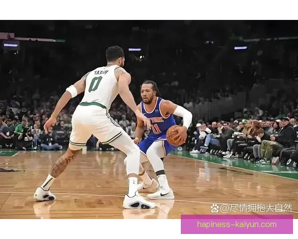 凯尔特人布朗对阵尼克斯关键侧翼对位前瞻分析