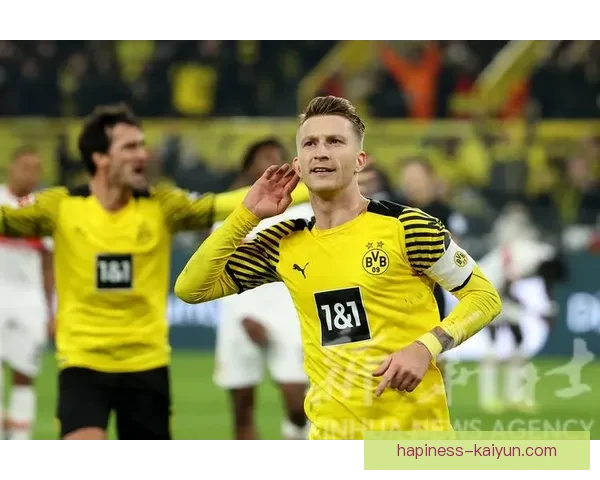 多特蒙德马伦赛季德甲边锋全面数据排名解析